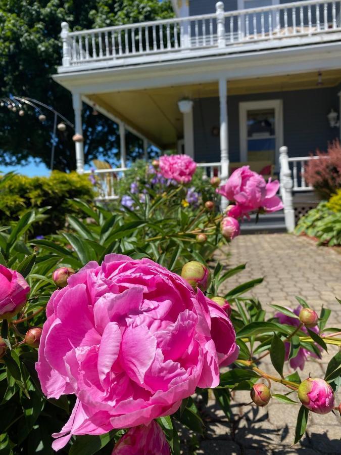 Toba'S Bed & Breakfast Lunenburg Eksteriør billede