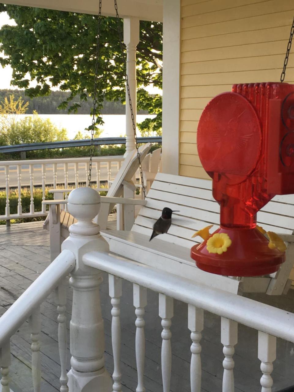 Toba'S Bed & Breakfast Lunenburg Eksteriør billede